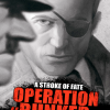 A Stroke of Fate: Operation Bunker Steam CD Key