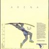 Arena Steam CD Key