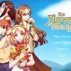 Flower Shop: Summer In Fairbrook Steam CD Key