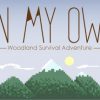 On My Own Steam CD Key