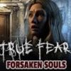 True Fear: Forsaken Souls Steam CD Key