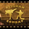 Veteran Combat Steam CD Key